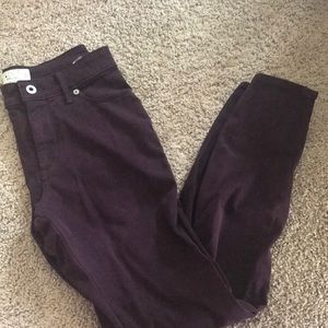 LB Wine Hayden Skinny Jeans